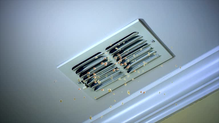 Best Best Air Duct Cleaning Company  in Palm River Clair Mel, FL