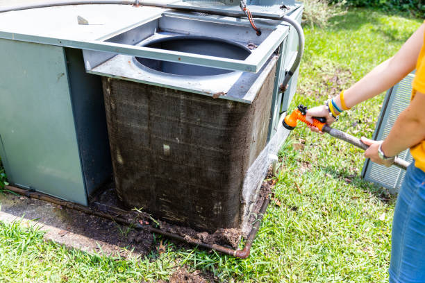 Best Air Vent Cleaning Services  in Palm River Clair Mel, FL
