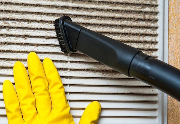 Best Affordable Air Duct Cleaning  in Palm River Clair Mel, FL